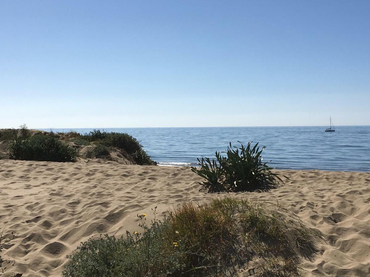 Estudio Primera Linea 50 Mtrs Playa. Fibra 600Mb Марбелья Екстер'єр фото