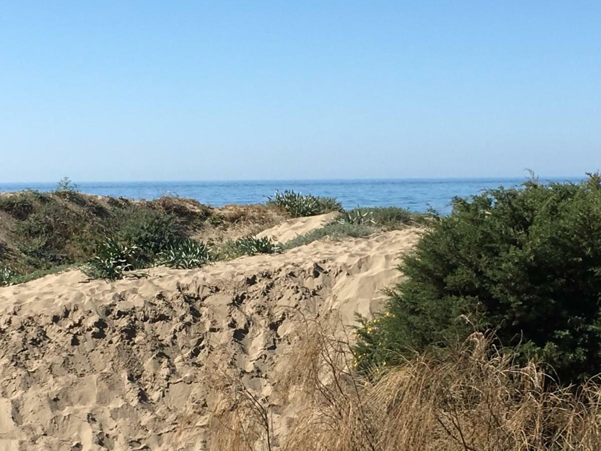 Estudio Primera Linea 50 Mtrs Playa. Fibra 600Mb Марбелья Екстер'єр фото